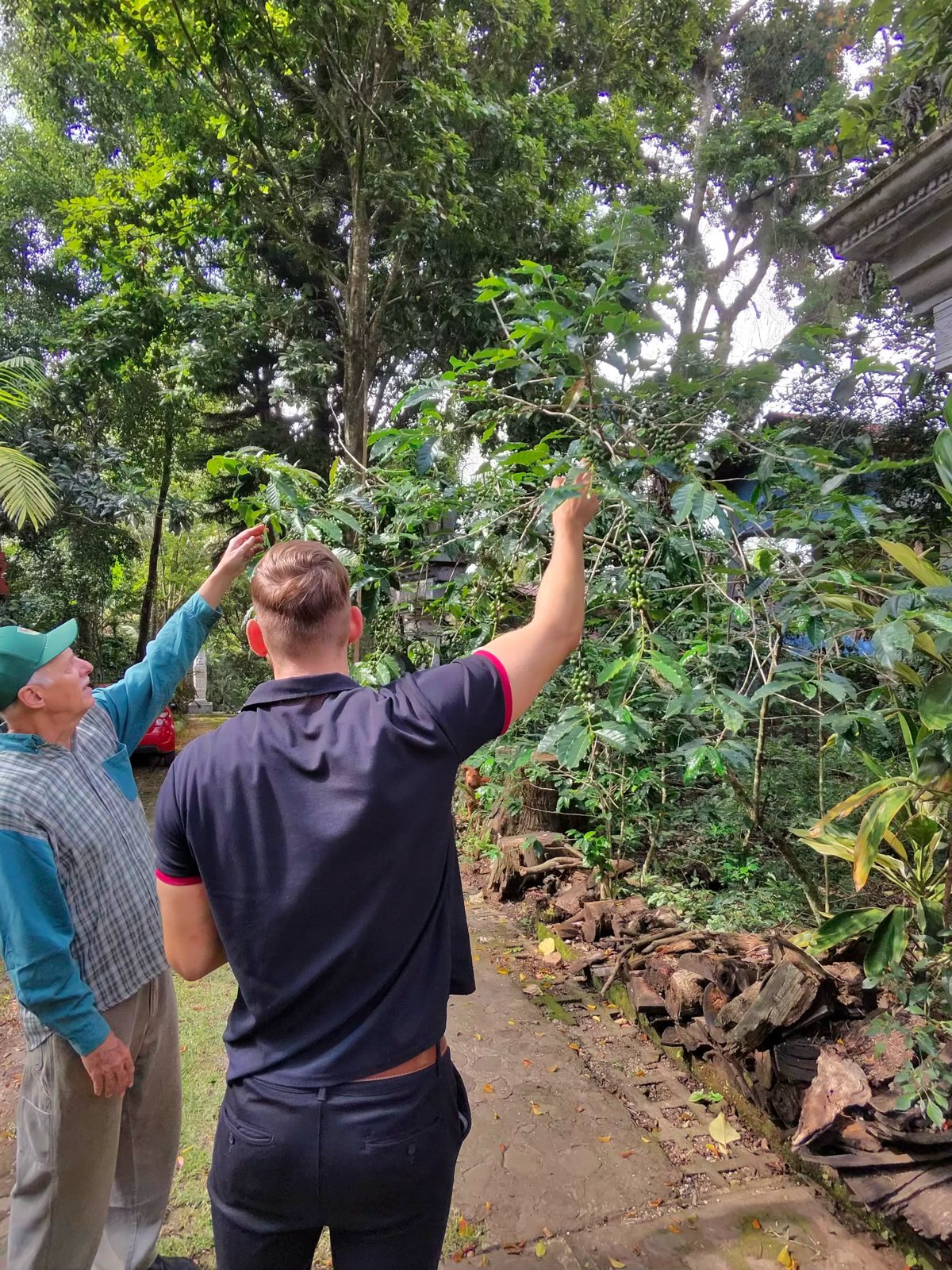 Kaffeefarm besuchen in Veracruz: was Don Miguel uns gezeigt hat