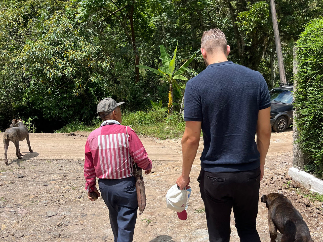 Santo Café walking the road at the finca with the grower and his dogs, Coatepec, Veracruz, July 2026